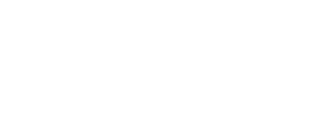 Alpha Omega Electric White Logo