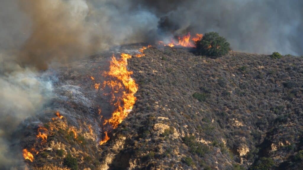Battery Backups for California Wildfire and PSPS Season California Wild Fire Season Alpha Omega Electric California